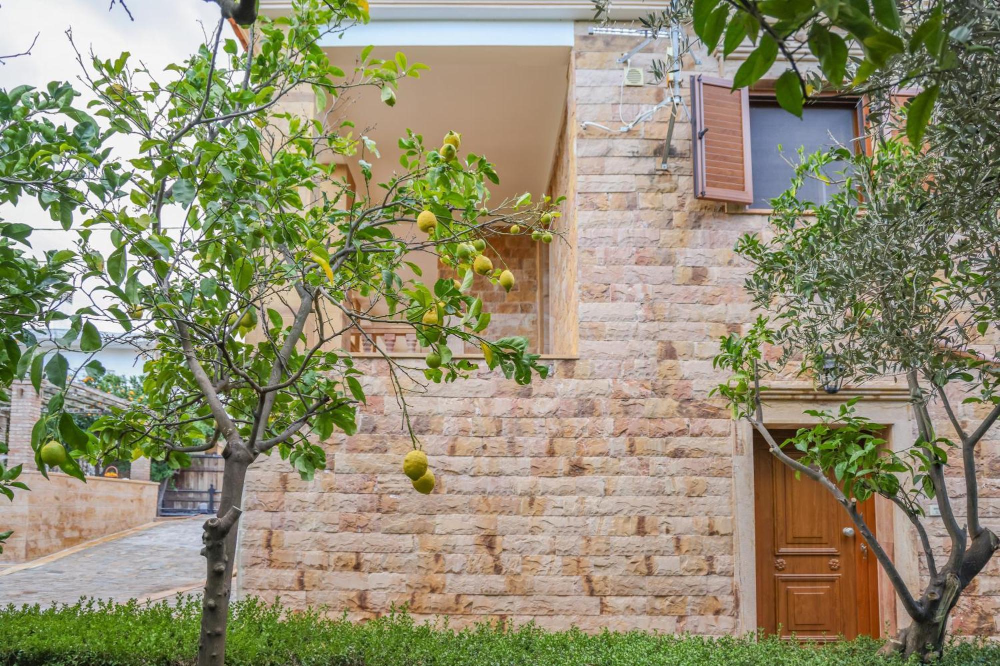 Archontiko Frideriki Luxury Apartments Chios Town Exterior photo